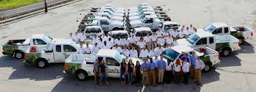 If you are unsure of. Our Company Pointe Pest Control