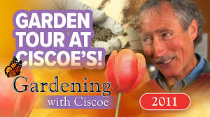 Garden tour at Ciscoe’s house