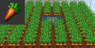 And we'll cover a few of the thin. Tip Once You Get Your First Carrot Make Sure To Plant It In A Garden To Grow More Before You Make Your Golden Carrot For The Season 1 Challenge Minecraft Earth
