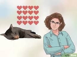 Probably $500 to $1,000 to do the initial diagnostic. How To Treat Feline Cancer 13 Steps With Pictures Wikihow