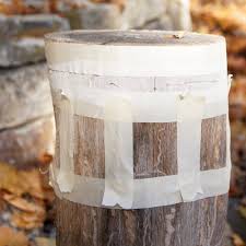 Baumstamm (181 ergebnisse in 182 varianten). Diy Baumstamm Hocker Boheme Living