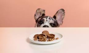 Can Dogs Eat Walnuts? | PetMD
