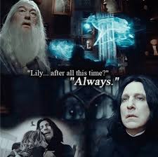The cold weather lasts all the way until march. Lily After All This Time Always By Alex Medium
