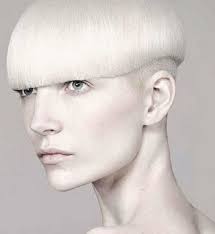 White Today's Topics