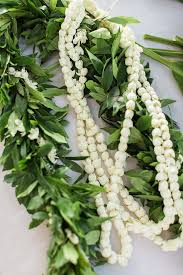 In hawaiian tradition, these garlands were worn by ancient hawaiians to beautify themselves and distinguish themselves from others. Hawaiian Lei Style Pikake And Maile Bride And Groom Lei Hawaii Leis Hawaiian Leis Hawaiian Culture Hawaiian Wedding Flowers Wedding Lei Hawaiian Wedding