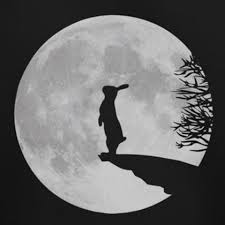 #luna piena #luna #lunatic #love #frasi libri #frasi lontananza #lontananza #frasi lunghe #letteratura luna piena tu che vai a cena io da stamattina che aspetto questa sera poi mi chiami agitata dici che. Luna Piena Laurin42