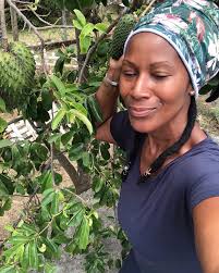 Soursop Seed for Planting