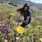 Outdoor Volunteer Day at Alta Vicente Reserve event image