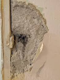 Image result for site:byggahus.se timmerstock