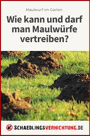 Maulwurfbekampfung Was Ist Erlaubt Und Wie Kann Man Maulwurfe Vertreiben Fotos C Meineresterampe Pixabay Maulwurf Vertreiben Maulwurf Im Garten Vertreiben