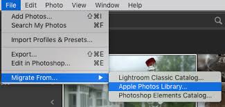 When you first start using lightroom, your. Import My Process 2020 Apple Photos To Lightroom Classic Migration Lightroom Queen Forums