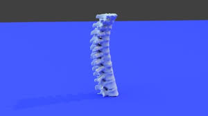 An easy and convenient way to make label is to generate some ideas first. 9 Great 3d Printed Models Of The Spine Best Embodi3d Com Medical And Anatomic Files Embodi3d Com