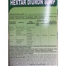 Silakan cari di pasar tradisional terdekat, atau tanyakan saja kepada orang asli situ. Buy Hektar Diuron 80wp 100gm Repack Racun Rumput Rumput Sambau Eleusine Indica Kualiti Racun Diuron Seetracker Malaysia