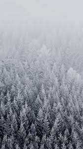 Here is a collection of winter wallpapers for you, just click on a wallpaper of your choice, download it and set it as background of your desktop screen. Hd Winter Background For Iphone Iphone Wallpaper Winter Ios Wallpapers Ipad Wallpaper