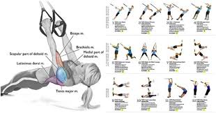 do this full body trx workout to change