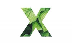 Choose your mickey letter png or svg files, svgs upload easier than pngs which need a few extra steps, but in the grand scheme of things still take no time at all. Letter X Alphabet Made Of Real Leaves Illustration Of Wandsticker Grun Farbenreich Weiss Myloview De