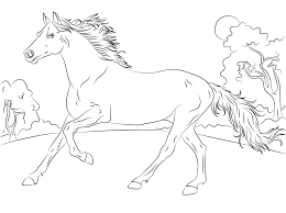 An unusual type of pinto or paint coloring where the horse has dark ears and poll (like a hat on the head), but surrounded on all sides of the head and neck by white. Arabian Horse Coloring Page Free Printable Coloring Pages For Kids