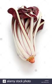 Acquista radicchio rosso trevisano tardivo online presso il supermercato emisfero di perugia. Radicchio Rosso Di Treviso Tardivo Italienisch Rotem Chicoree Auf Weissem Hintergrund Stockfotografie Alamy