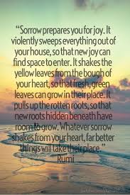 Rise And Rise Again Until Lambs Become Lions Meaning In Hindi Pin By Cheryl Mollison On Words Of Wisdom Sorrow New Roots Words