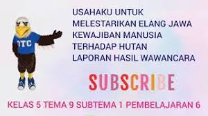 Usahaku untuk ikut melestarikan elang jawa. Kewajiban Manusia Terhadap Hutan Usahaku Untuk Ikut Melestarikan Elang Jawa Youtube