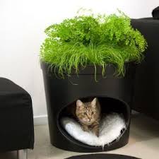 Pet Planter Katzenhohle Und Blumentopf 2 In 1 Demmi Waters Buy A Cat Cat Cave Cat Playground