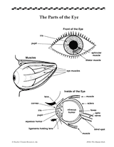Pin On Vision