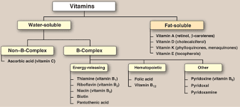 Vitamins Uses For General Knowledge And General Awareness