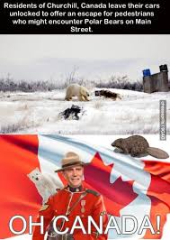 Oh Canada Canada Funny Meanwhile In Canada Canada Memes