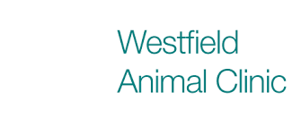 I am absolutely floored by springmill pet wellness clinic! Westfield Animal Clinic Veterinarian In Westfield Ma Us