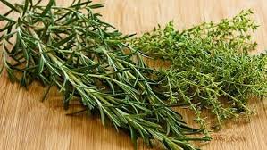 ماهو الفرق بين الزعتر البري والزعتر العادي وصفة ماما