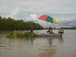 Panduan Penting Memancing Udang Galah Umpan