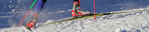Cross Country Ski And Pole Length