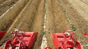 Hardened steel cutting teeth built. Grimme Individual Row Hiller Working In Maine Mov By Marty Dinneen