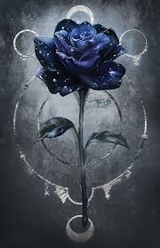 Pin By Funny Wallpapers On N Rose Art Flower Art Blue Roses Wallpaper