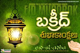 2017 famous telugu happy bakrid festival greetings vector hd wallpapers free download brainyteluguquotes comtelugu quotes english quotes hindi quotes tamil quotes greetings brainyteluguquotes comtelugu quotes