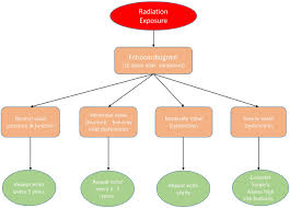 Radiation Induced Valvular Heart Disease Heart