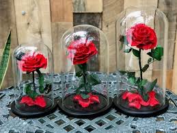 See below for our send flowers usa flower statistics. 7 Romantic Flowers That Are Not Roses In 2019 Kremp Florist Blog