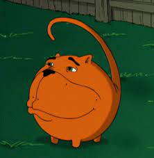 Um.you need a bit more practice. The Nutshack Experience Here S A Gif Of Fat Dog Mendoza Pulling A Pocket