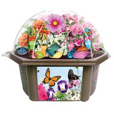 Check spelling or type a new query. Biosphere Clear Plastic Bountiful Butterfly Garden Indoor Garden Terrarium Indoor Garden Seed Starter Kit 5528088 The Home Depot