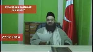 Cubbeli Ahmet Hoca Evde Kopek Beslemek Caiz Midir Youtube