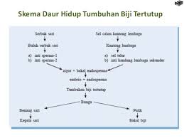 We did not find results for: Bab 7 Tumbuhan