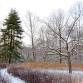 Workshop: Pruning for Homeowners – Section B event image