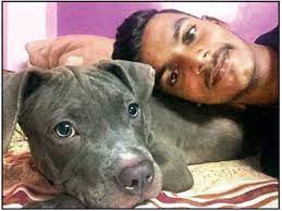 It is illegal in some states and countries. Breeder Held For Surgery That Led To Pup S Death Mumbai News Times Of India