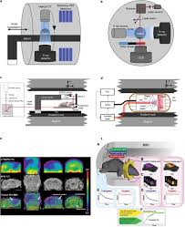Frontiers | Recent Technical Advances in Accelerating the Clinical  Translation of Small Animal Brain Imaging: Hybrid Imaging, Deep Learning,  and Transcriptomics