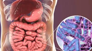 Inulin is a prebiotic and a type of soluble fibre. Here S The Difference Between Prebiotics And Probiotics