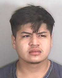 22-year-old ELIAS MATEO-ZAMARRIPA charged with POSSESS MARIJUANA OVER 20  GRAMS! #mugshots https://mugshotsbradenton.com/arrested/elias-mateo -zamarripa-of-manatee-county-3/