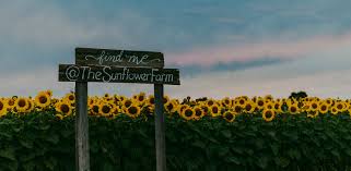 Keep an eye out for these as you read through. The Sunflower Farm Home Facebook