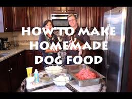 homemade dog food you