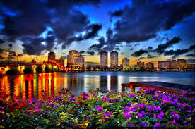 Pure white floral of roses, lilies, carnations and greens. Bougainvillea In Night On The West Palm Beach Flowers Nature Background Wallpapers On Desktop Nexus Image 1723997