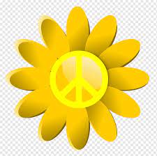 Bunga matahari sangat cantik, kembang di waktu pagi, daunnya hijau bunganya kuning, memikat menanam tanaman bunga matahari di halaman rumah sebagai tanaman hias sunflower. Bunga Simbol Perdamaian Bunga Matahari Wallpaper Komputer Bunga Png Pngwing